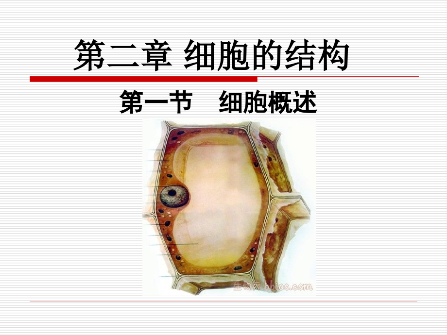 细胞概述(新).pptx_第1页