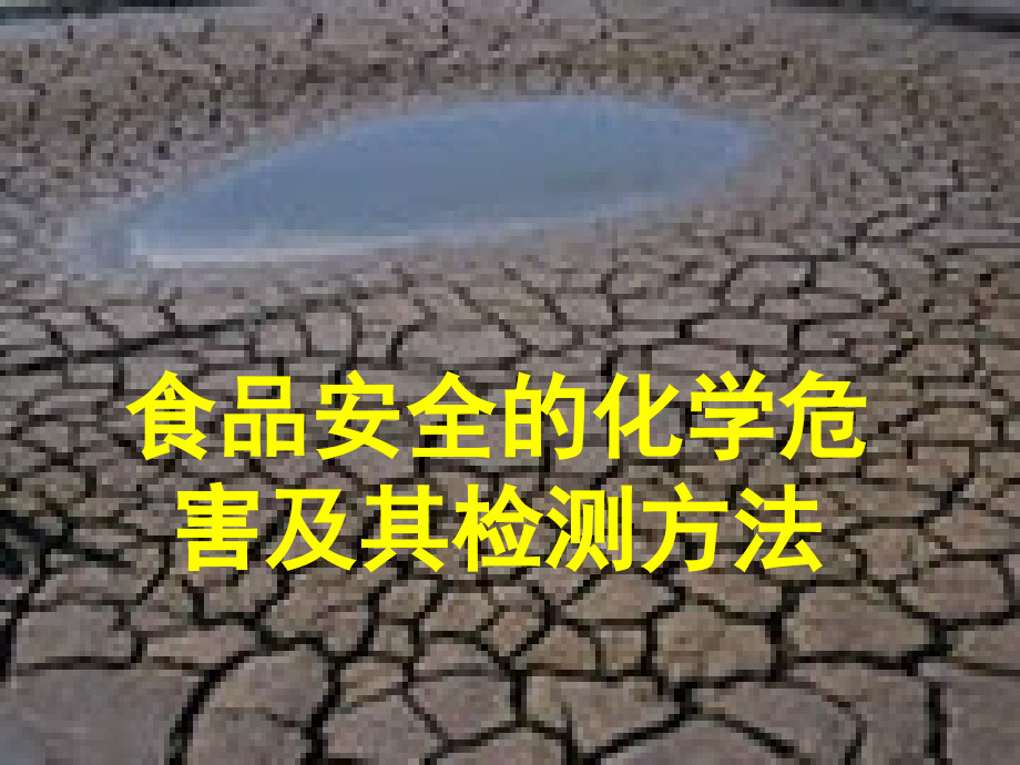 农药残留分析.ppt_第1页
