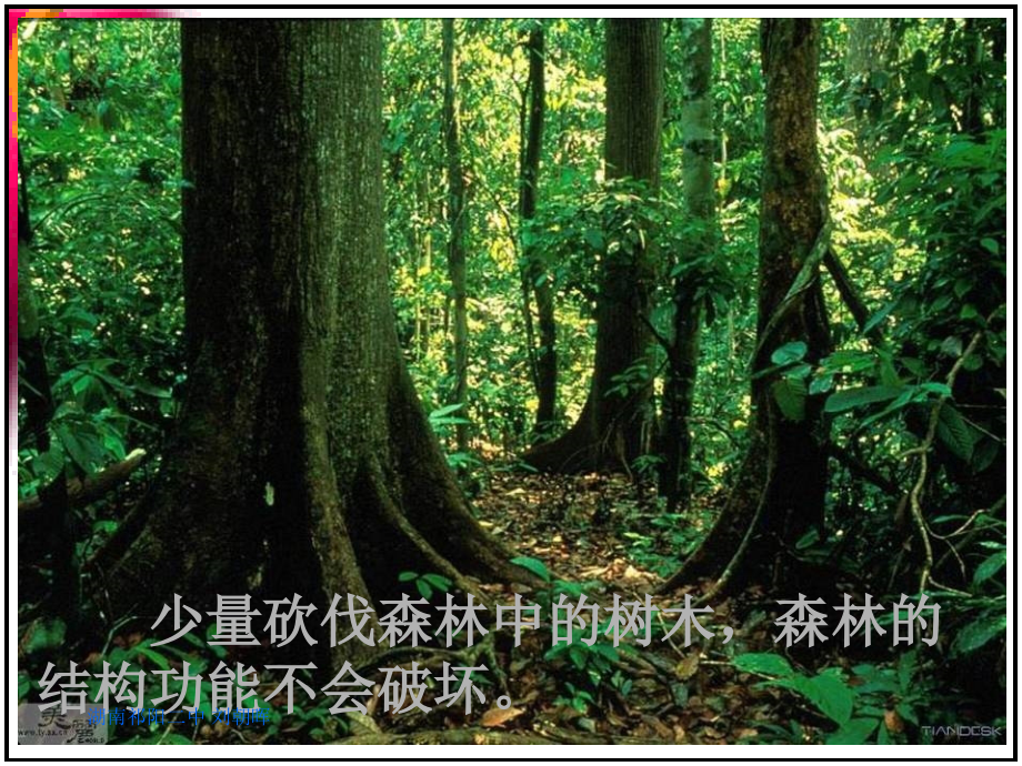 高二生物：必修3：5.5生态系统的稳定性(新).ppt_第2页