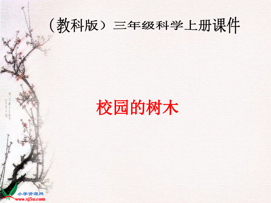 校园的树木.ppt_第1页