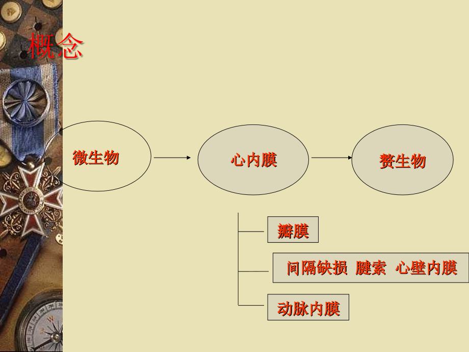 感染性心内膜炎12.ppt_第2页