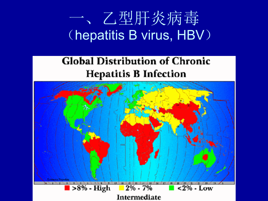 HBV-X-蛋白与原发性肝癌.ppt_第2页
