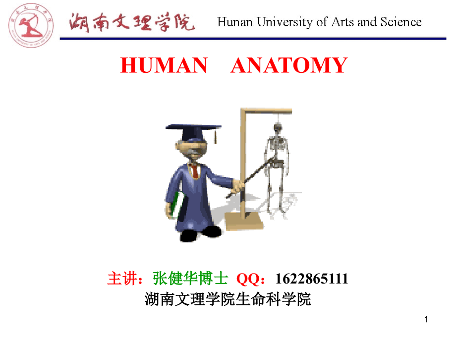 Chapter 7 呼吸系统.ppt_第1页