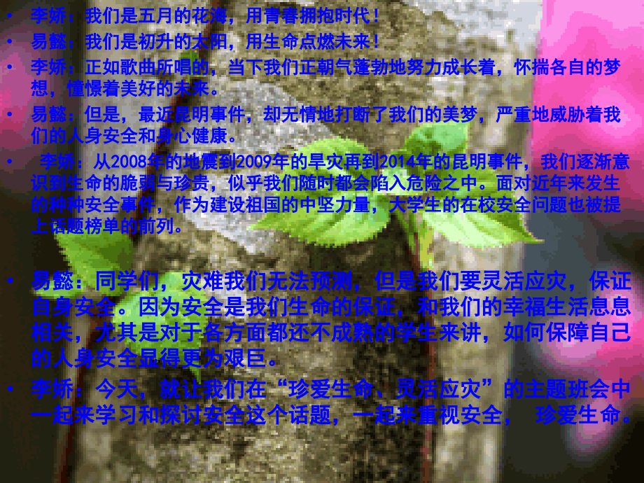 珍爱生命-灵活应灾...ppt_第2页