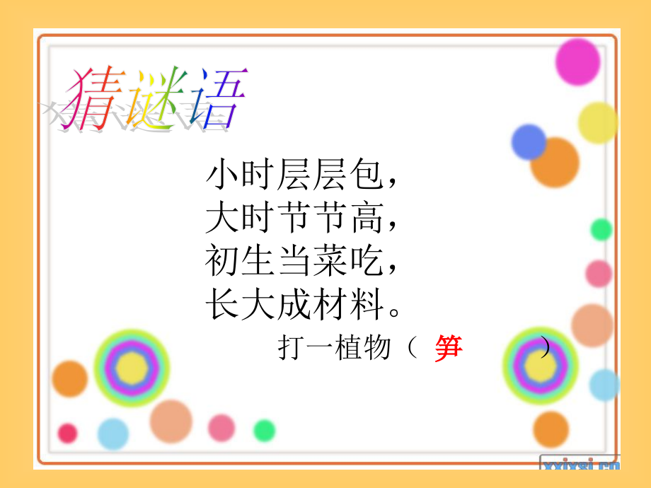 笋芽儿PPT课件.ppt_第2页