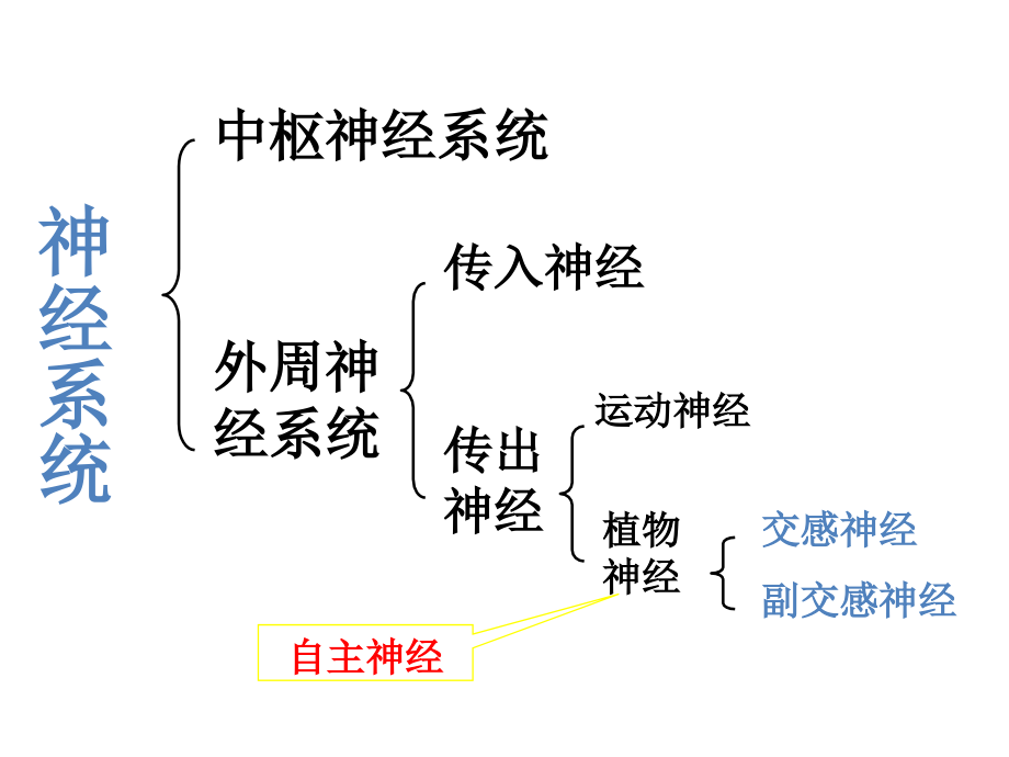 中枢神经系统药理.ppt_第1页