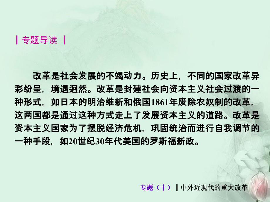 (新课标)中考历史最后冲刺练热门专题-专题十-中外近现代的重大改革(专题导读+热点追踪+考向探究+.ppt_第2页