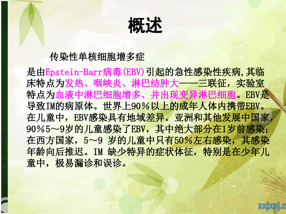 传染性单核细胞增多症IM.ppt_第2页
