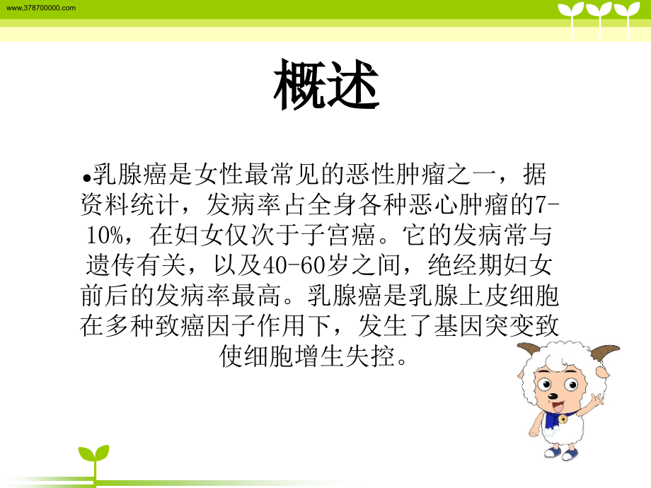 乳腺癌围手术期的剖析.ppt_第2页