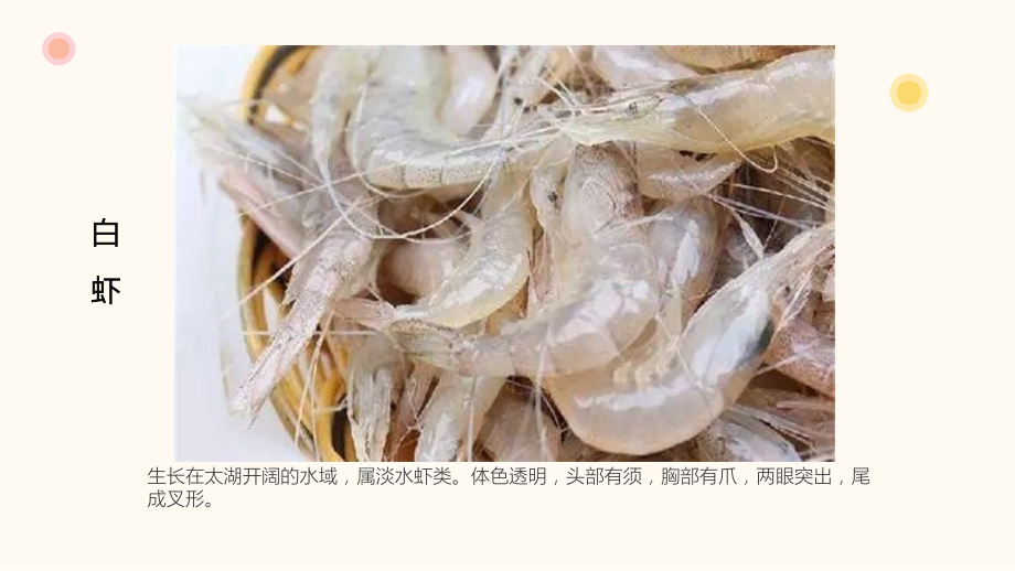 学前幼教社会学前通用版大班大班下-太湖三宝.pptx_第2页