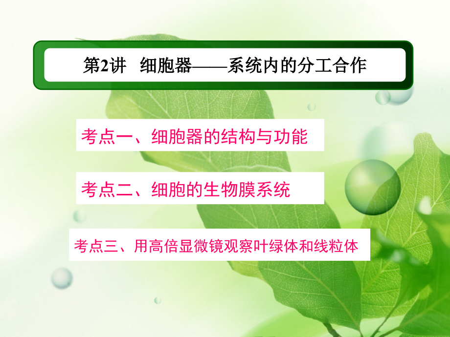 一轮复习细胞器.ppt_第1页