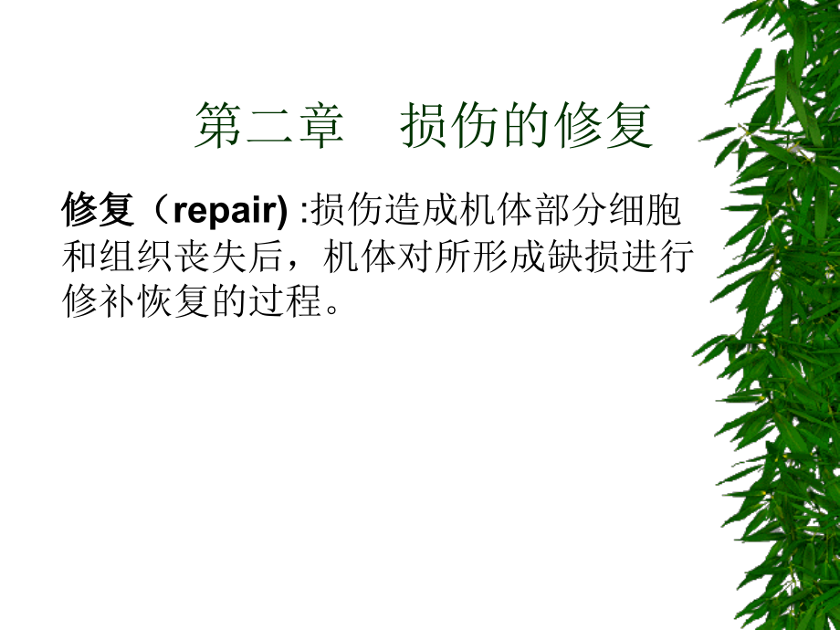 损伤的修复.ppt_第1页