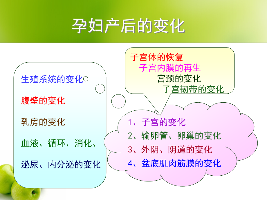 产后母体的变化和恢复.ppt_第2页