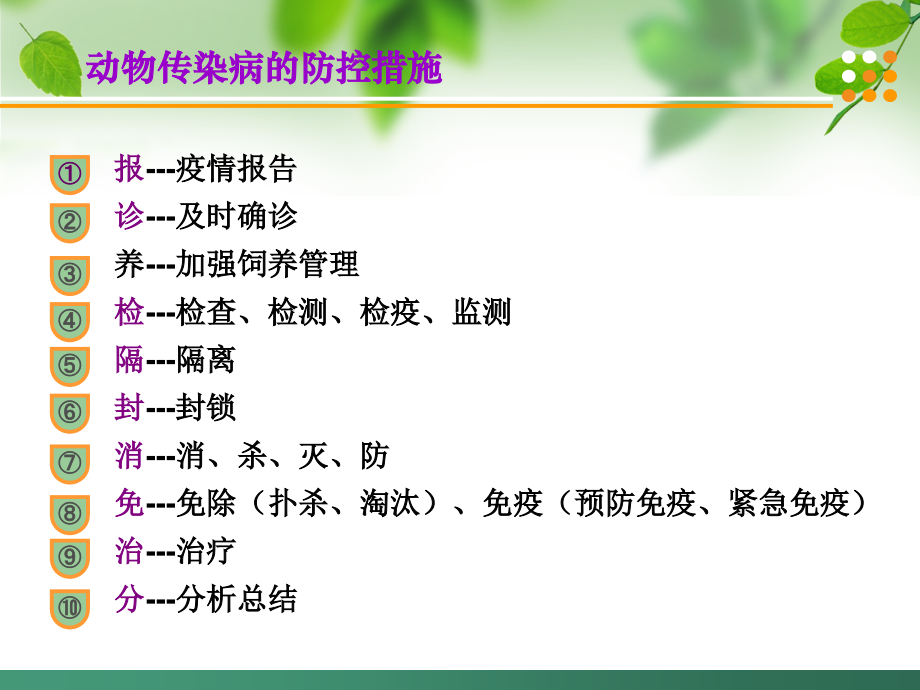 动物传染病防治策略浅谈.ppt_第2页