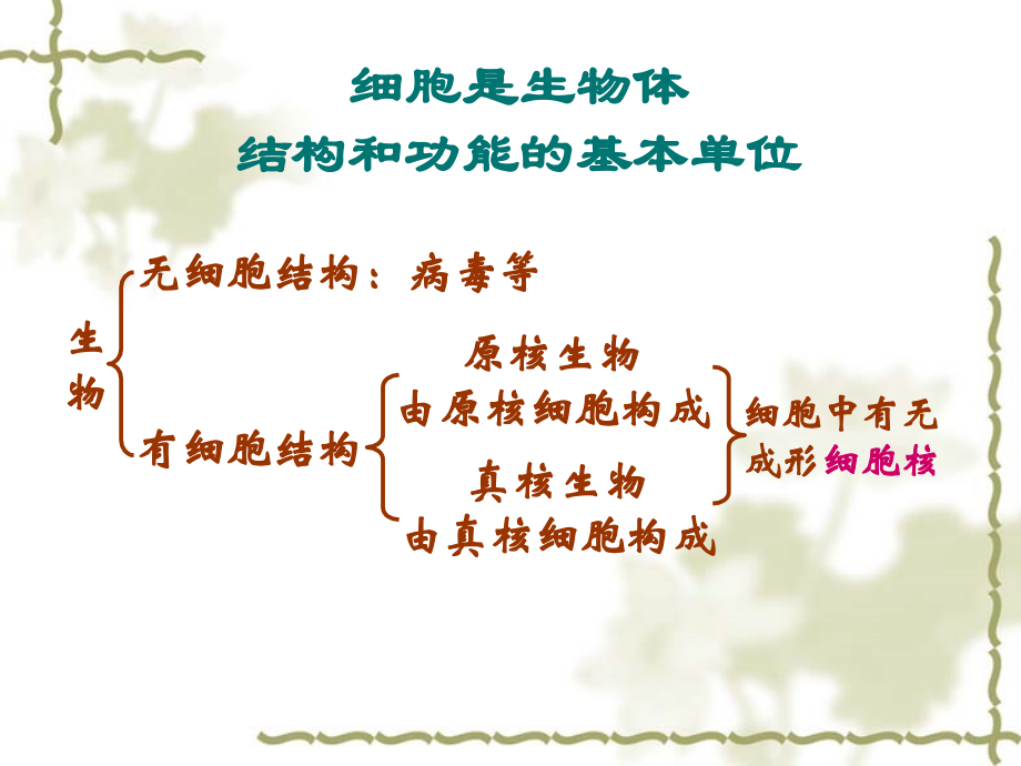 会考复习2生命的基本单位——细胞.ppt_第2页