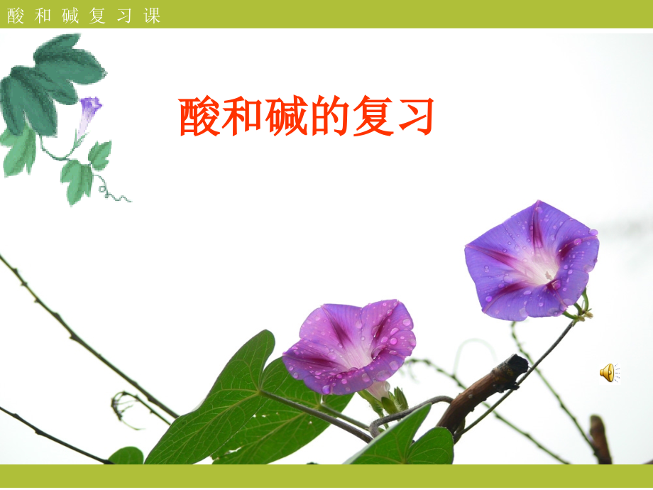 酸和碱的复习.ppt_第1页
