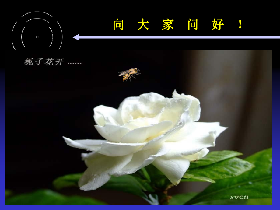 栀子病虫害与防治.ppt_第1页