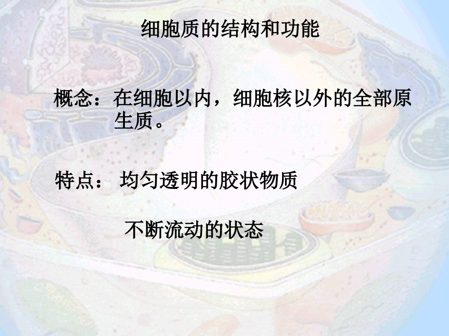 细胞质内部结构.ppt_第1页