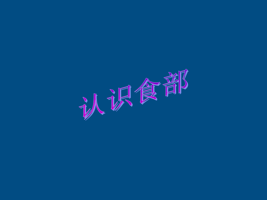 七年级生物上册-植物的食部研究课件-人教新课标版.ppt_第2页