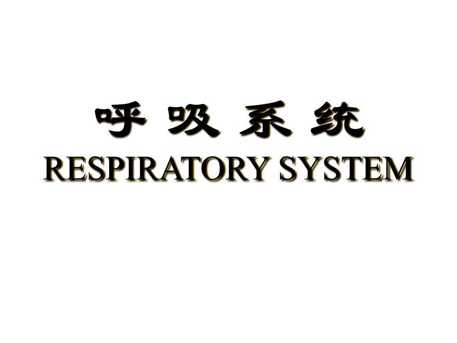 呼吸系统和泌尿系统.ppt_第1页