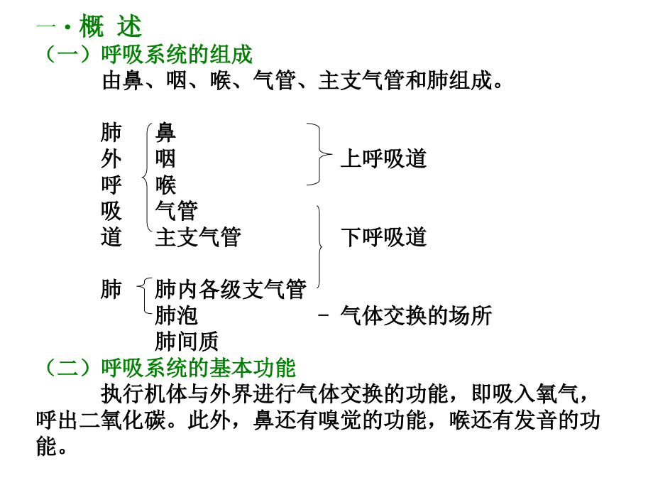 呼吸系统和泌尿系统.ppt_第2页
