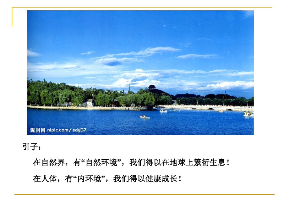 外科病人的体液失衡(20160421).ppt_第2页