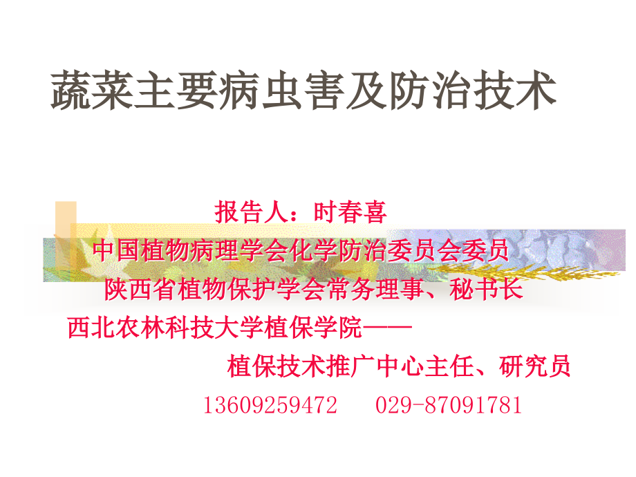 蔬菜主要病虫害及防治技术.剖析.ppt_第1页