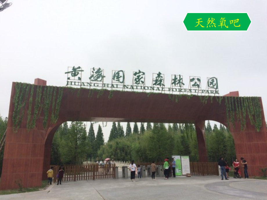 探究过氧化氢制氧气.pptx_第2页