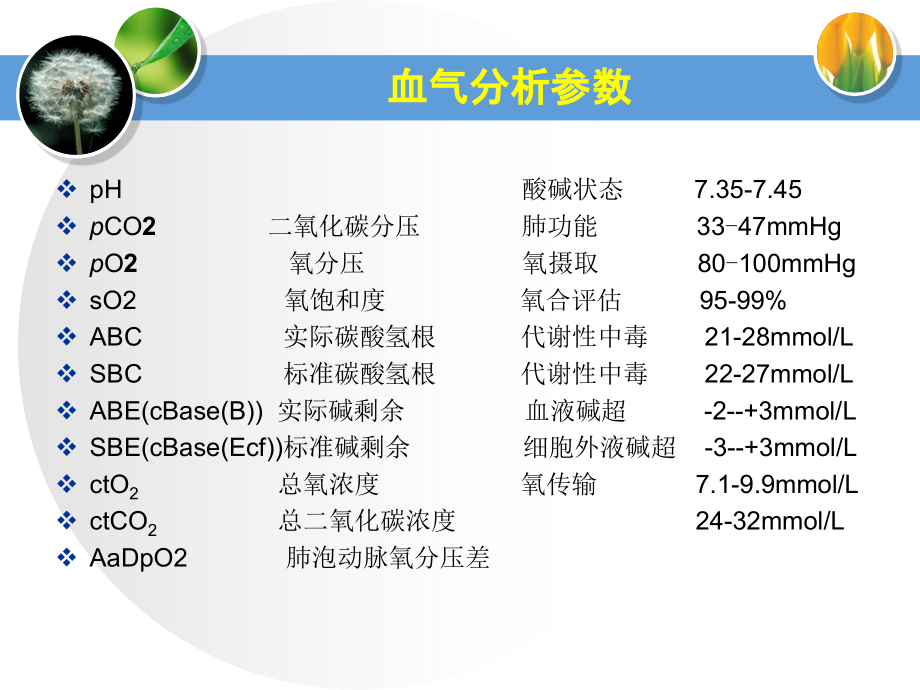 血气分析参数解读.pptx_第2页