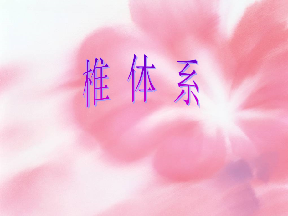 皮质脊髓束课件.ppt_第1页