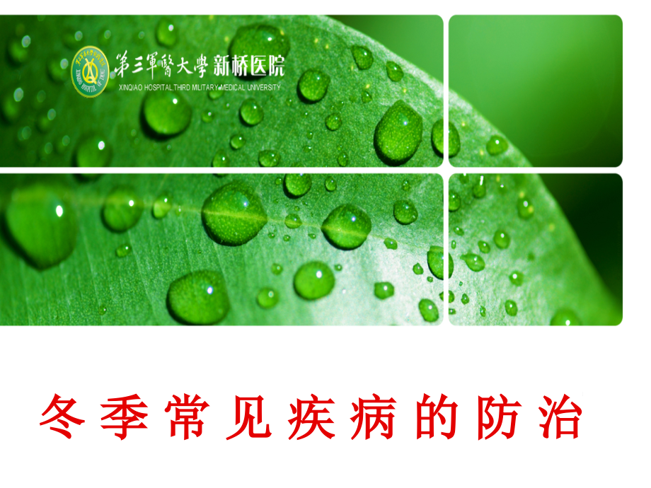 冬季常见病的防治.ppt_第1页
