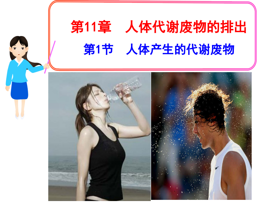 人体代谢废物ppt.ppt_第1页