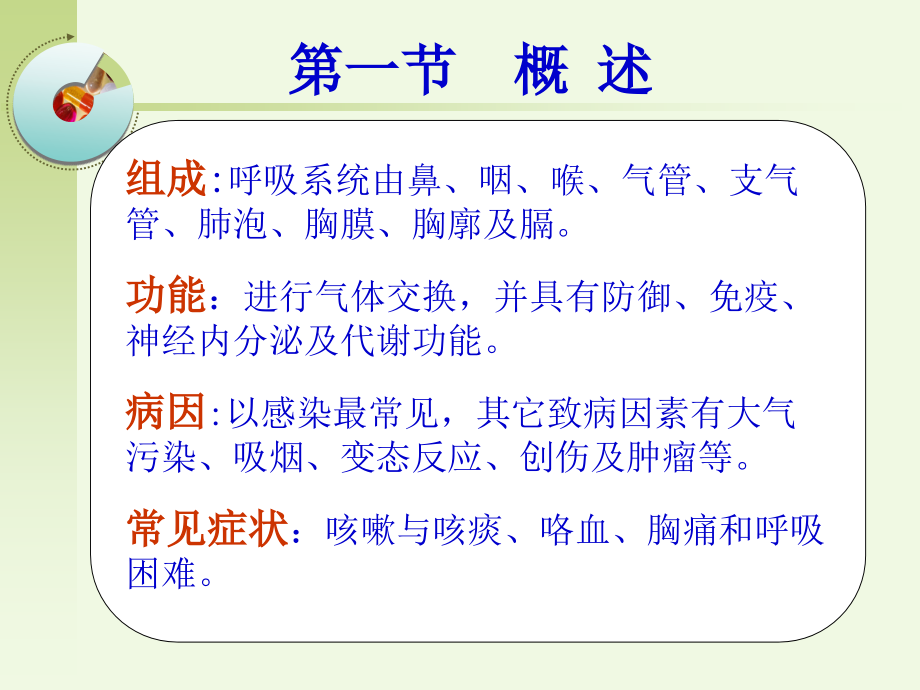 呼吸系统1第一节概述.ppt_第2页