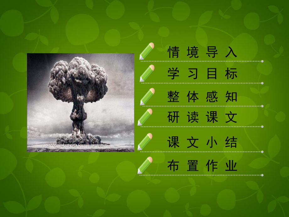 北京课改初中语文七下《“两弹”元勋邓稼先》(一).ppt_第2页
