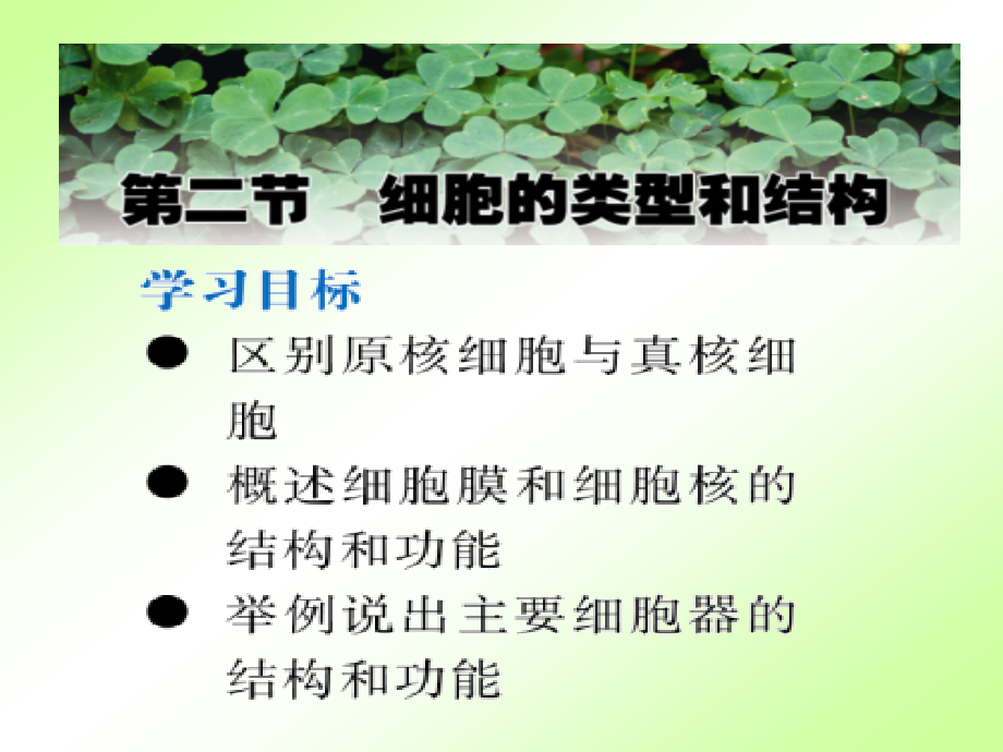 细胞的类型和结构(全).ppt_第1页