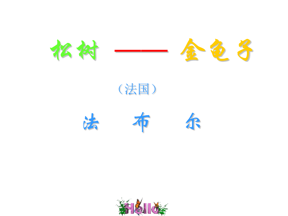 松树金龟子.pptx_第1页