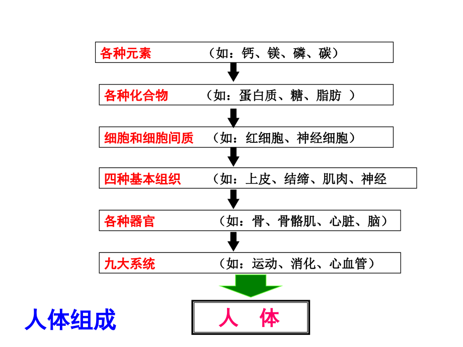 细胞和细胞间质ppt.ppt_第2页