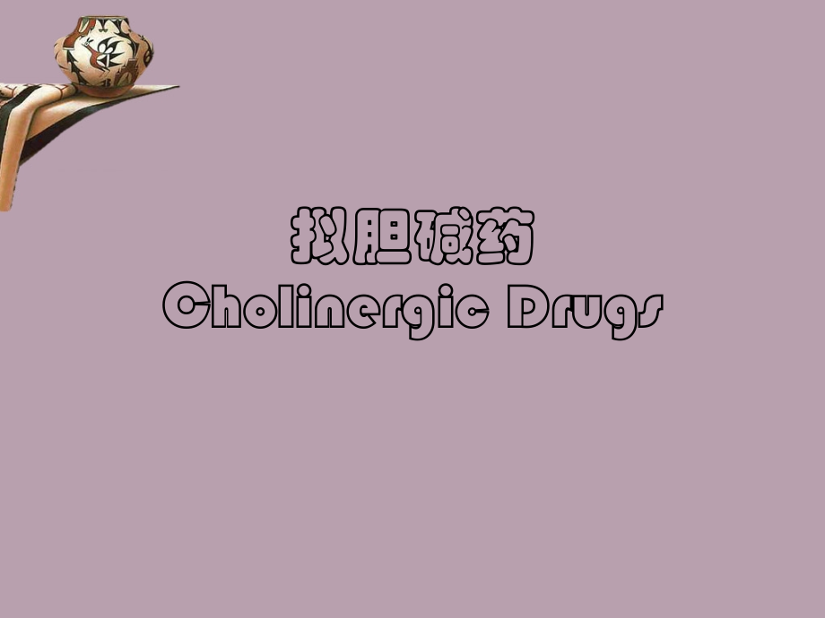 叔胺类解痉药.ppt_第1页