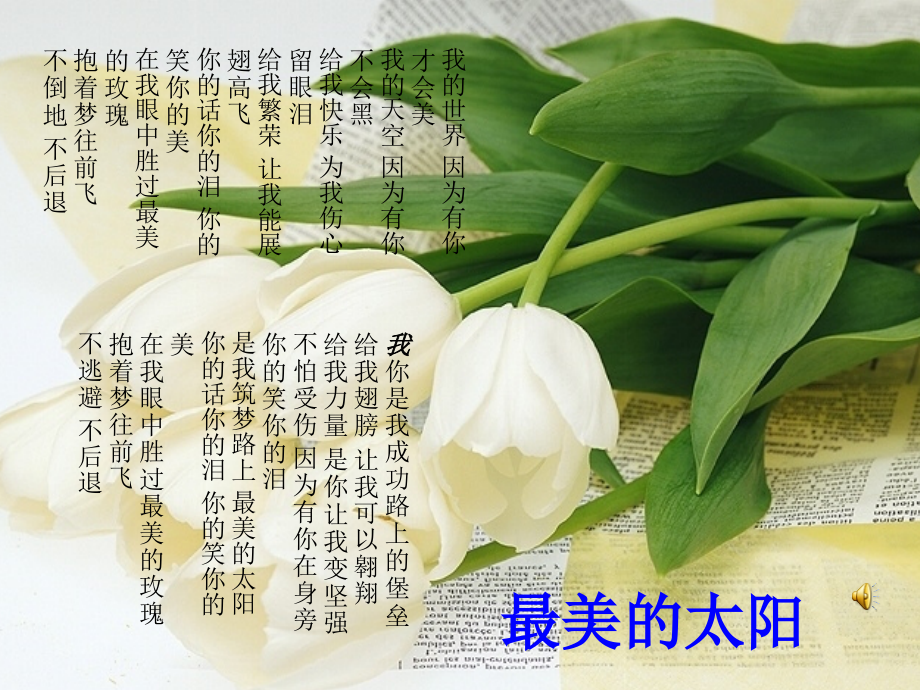警钟长鸣-法在我心中.ppt_第2页