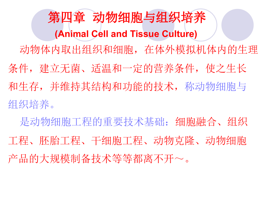 体外培养细胞的生长与增殖过程.ppt_第1页