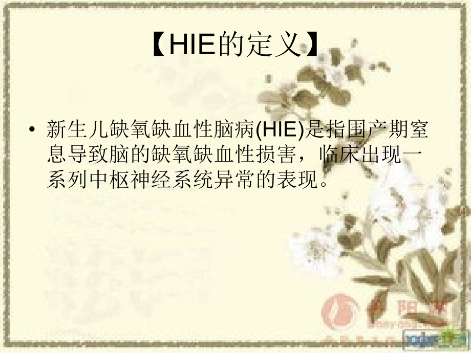 新生儿缺氧缺血性脑病诊疗指南和操作规范.ppt_第1页