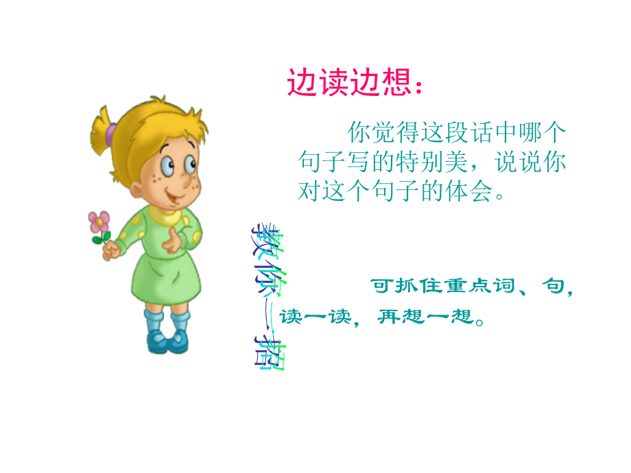 荷花优秀课件.ppt_第1页