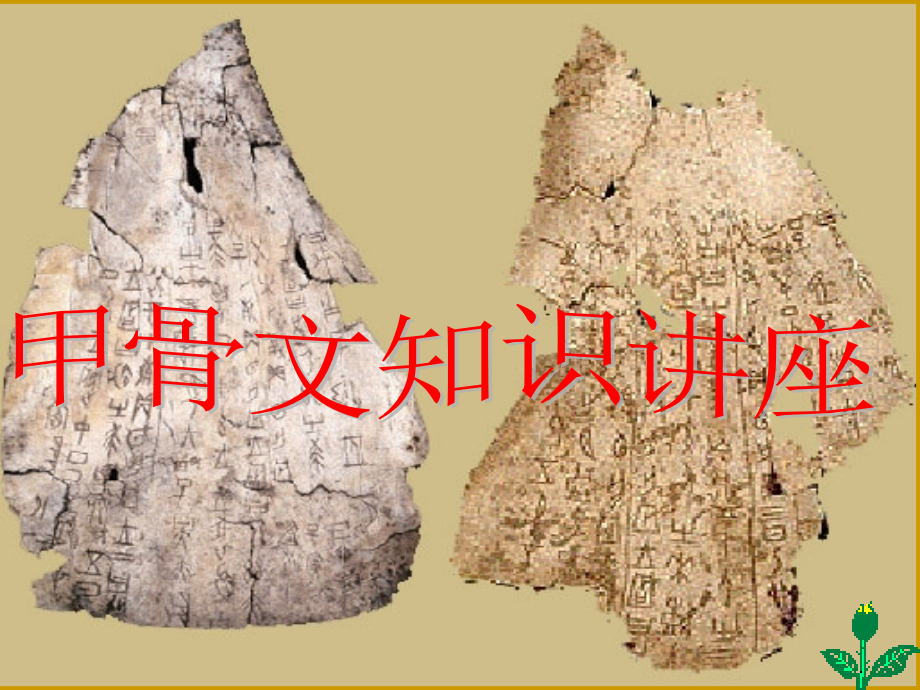 甲骨文知识讲座.ppt_第2页