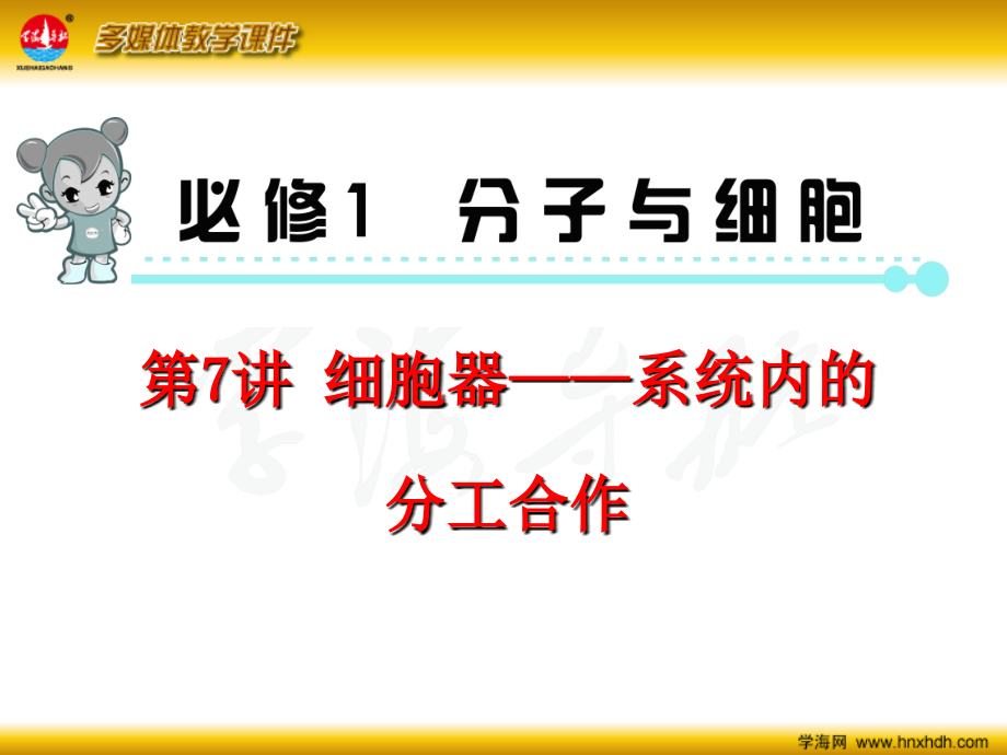 必修1--第7讲-细胞器——系统内的分工合作.ppt_第2页