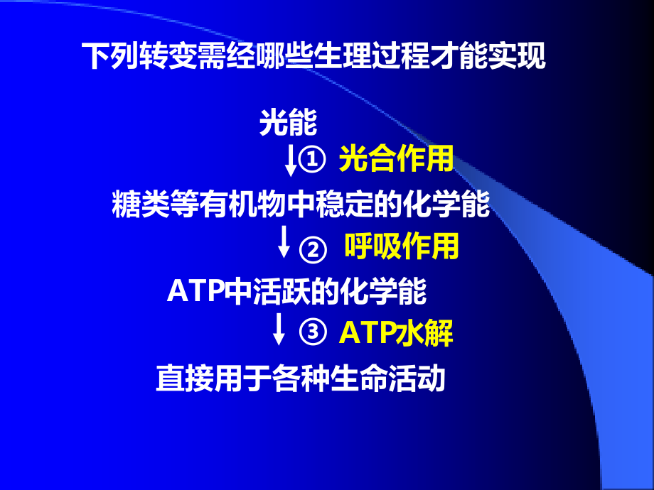 第3节细胞呼吸作用.ppt_第2页