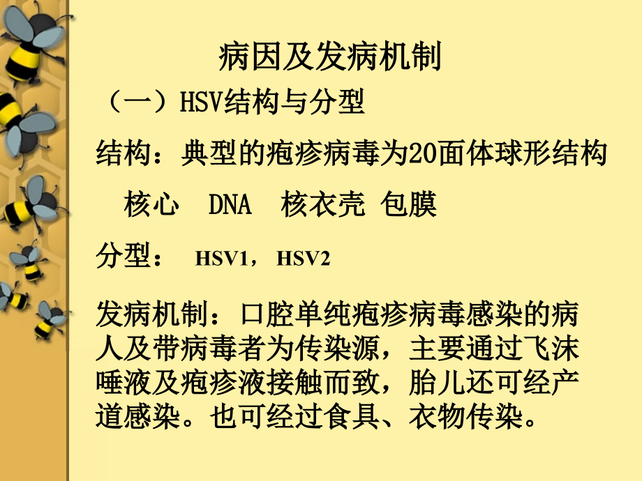 口腔单纯疱疹.ppt_第2页
