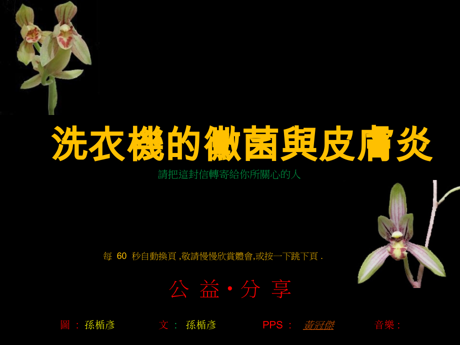 洗衣机的霉菌与异位性皮肤炎.ppt_第1页