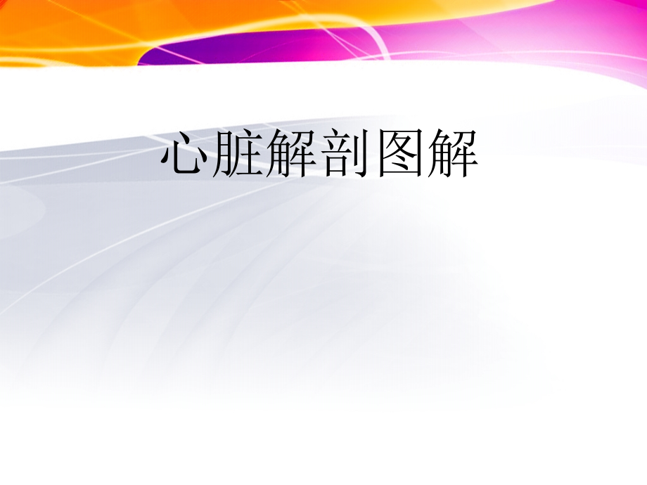 先心病概述及术后监护.ppt_第2页