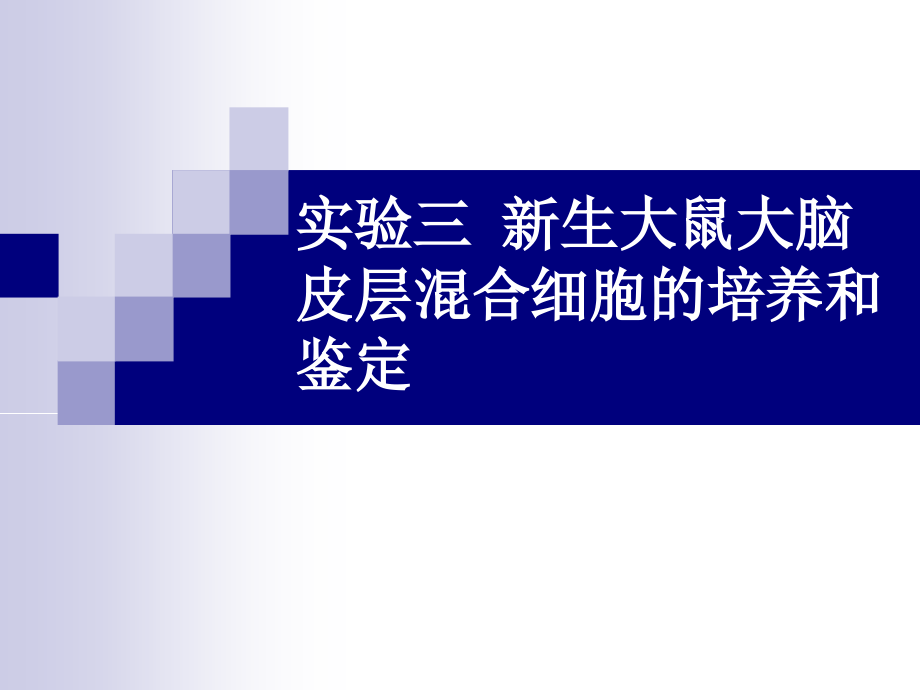 一哺乳动物细胞的培养冻存和融合.ppt_第1页