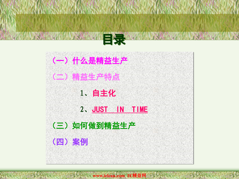 用精益擦量我们的眼睛(ppt-91).ppt_第2页
